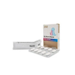 No Worm Diacur -Haustier Lieferungen Geschäft no worm diacur 151285 0500 none
