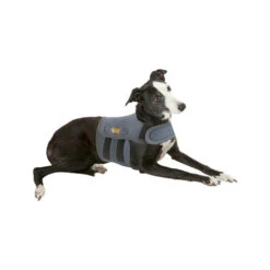 Petlife KarmaWrap Für Hunde -Haustier Lieferungen Geschäft petlife karmawrap hond 154186 0500 none