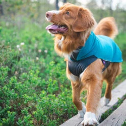 Pomppa Jumppa -Haustier Lieferungen Geschäft pomppa jumppa 190573 0500 none