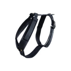 Kentucky Dog Harness Active Velvet -Haustier Lieferungen Geschäft prod 15744 218993 0500 none