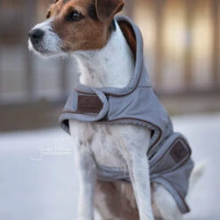 Kentucky Hundemantel Reflective & Waterrepellent -Haustier Lieferungen Geschäft prod 15746 219013 0500 none
