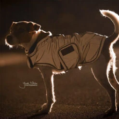 Kentucky Hundemantel Reflective & Waterrepellent -Haustier Lieferungen Geschäft prod 15746 219015 0500 none