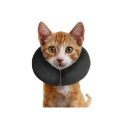 ZenPet Pro Collar -Haustier Lieferungen Geschäft prod 5331 89004 0500 none