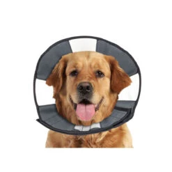 ZenPet Zen Collar -Haustier Lieferungen Geschäft prod 5332 89025 0500 none