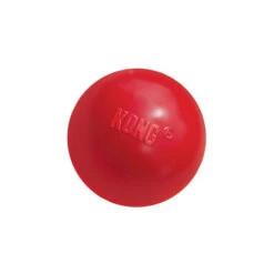 KONG Ball 9 KONG Ball -Haustier Lieferungen Geschäft product kong ball none 4 1466058813 69918