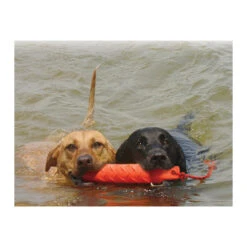 KONG Training Dummy 11 KONG Training Dummy -Haustier Lieferungen Geschäft product kong training dummy none 4 1469627104 71971