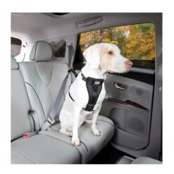 Kurgo Enhanced Tru-Fit Smart Harness -Haustier Lieferungen Geschäft product kurgo tru fit smart harness none 4 1476952073 79204