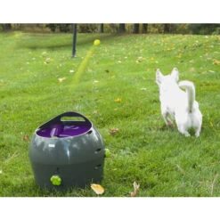 PetSafe Automatischer Ballwerfer -Haustier Lieferungen Geschäft product petsafe ball launcher none 4 1472637635 77137