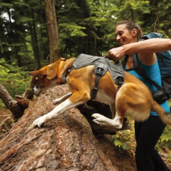 Ruffwear Webmaster Harness -Haustier Lieferungen Geschäft product ruffwear webmaster harness none 4 1471947180 76768