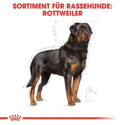 Royal Canin Rottweiler Adult - Hundefutter -Haustier Lieferungen Geschäft royal canin rottweiler adult hondenvoer 139936 0500 none