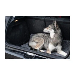 Royal Dry Doormat -Haustier Lieferungen Geschäft royal dry doormat 187417 0500 none