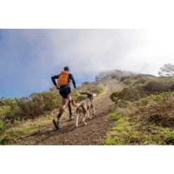 Ruffwear Hi & Light Harness -Haustier Lieferungen Geschäft ruffwear hi light harness 196016 0500 none