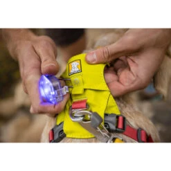 Ruffwear Hi & Light Harness -Haustier Lieferungen Geschäft ruffwear hi light harness 196031 0500 none