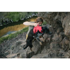 Ruffwear Webmaster Harness -Haustier Lieferungen Geschäft ruffwear webmaster harness 204671 0500 none