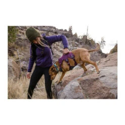 Ruffwear Webmaster Harness -Haustier Lieferungen Geschäft ruffwear webmaster harness 217109 0500 none