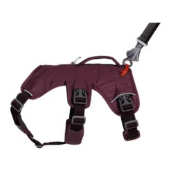 Ruffwear Webmaster Harness -Haustier Lieferungen Geschäft ruffwear webmaster harness 217110 0500 none