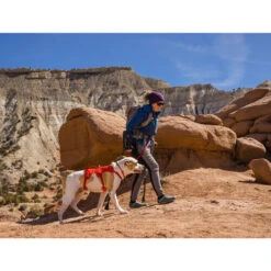 Ruffwear Webmaster Harness -Haustier Lieferungen Geschäft ruffwear webmaster harness 217118 0500 none