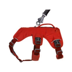 Ruffwear Webmaster Harness -Haustier Lieferungen Geschäft ruffwear webmaster harness 217119 0500 none