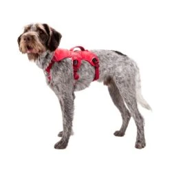 Ruffwear Webmaster Harness -Haustier Lieferungen Geschäft ruffwear webmaster harness 88447 0500 none