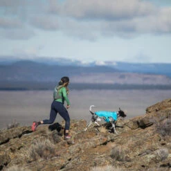 Ruffwear Wind Sprinter Jacket 9 Ruffwear Wind Sprinter Jacket -Haustier Lieferungen Geschäft ruffwear wind sprinter jacket 124694 0500 none