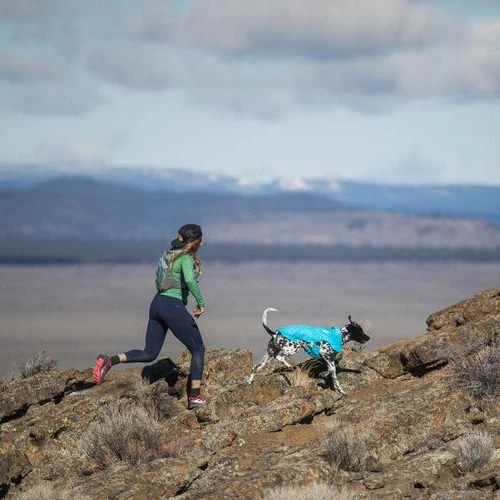 Ruffwear Wind Sprinter Jacket 4 Ruffwear Wind Sprinter Jacket – Bild 4