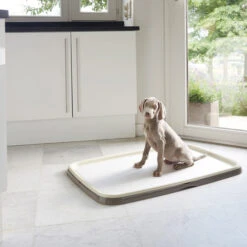 Savic Puppy Trainer + Pads -Haustier Lieferungen Geschäft savic puppy trainer pads 163498 0500 none