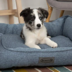 Scruffs Manhattan Box Bett -Haustier Lieferungen Geschäft scruffs manhattan box bed 209507 0500 none