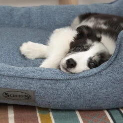 Scruffs Manhattan Box Bett -Haustier Lieferungen Geschäft scruffs manhattan box bed 209510 0500 none