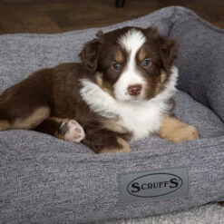 Scruffs Manhattan Box Bett -Haustier Lieferungen Geschäft scruffs manhattan box bed 209513 0500 none
