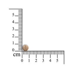 Geria Comfort - Kleine Haustiere -Haustier Lieferungen Geschäft sensipharm geria comfort kleine huisdieren 174883 0500 none