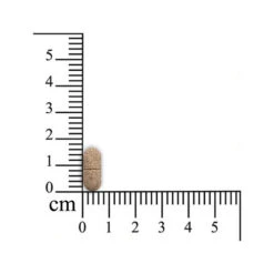 Sensipharm Inconti Stop Hund -Haustier Lieferungen Geschäft sensipharm inconti stop hond 174532 0500 none