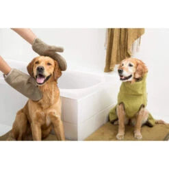 Siccaro DryGlove -Haustier Lieferungen Geschäft siccaro dryglove 196901 0500 none