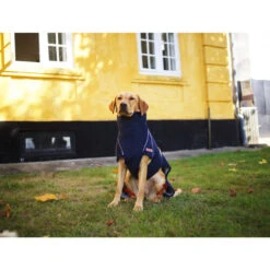 Siccaro WetDog SupremePro 11 Siccaro WetDog SupremePro -Haustier Lieferungen Geschäft siccaro wetdog supremepro 20 216994 0500 none