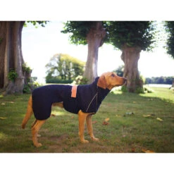 Siccaro WetDog SupremePro 9 Siccaro WetDog SupremePro -Haustier Lieferungen Geschäft siccaro wetdog supremepro 20 216995 0500 none