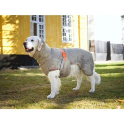 Siccaro WetDog SupremePro 8 Siccaro WetDog SupremePro -Haustier Lieferungen Geschäft siccaro wetdog supremepro 20 216997 0500 none