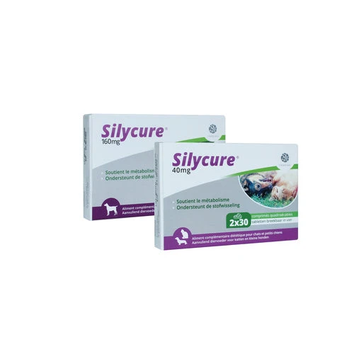 Silycure 1 Silycure
