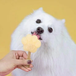 Smoofl Hundeeis Starter Kit -Haustier Lieferungen Geschäft smoofl dog ice starter kit 195155 0500 none