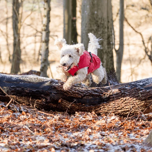 Trixie Regenjacke Vimy 3 Trixie Regenjacke Vimy – Bild 3