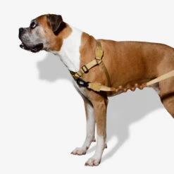 Zee.Dog Soft Walk Harness -Haustier Lieferungen Geschäft zeedog soft walk harness 200678 0500 none