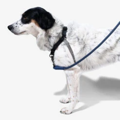 Zee.Dog Soft Walk Harness -Haustier Lieferungen Geschäft zeedog soft walk harness 200684 0500 none