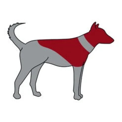 ZenPet Pro Collar -Haustier Lieferungen Geschäft zenpet pro collar 193865 0500 none