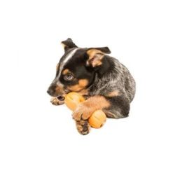 Zogoflex Qwizl -Haustier Lieferungen Geschäft zogoflex qwizl 136852 0500 none