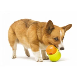 Zogoflex Toppl - Treat Toy -Haustier Lieferungen Geschäft zogoflex toppl treat toy 219464 0500 none